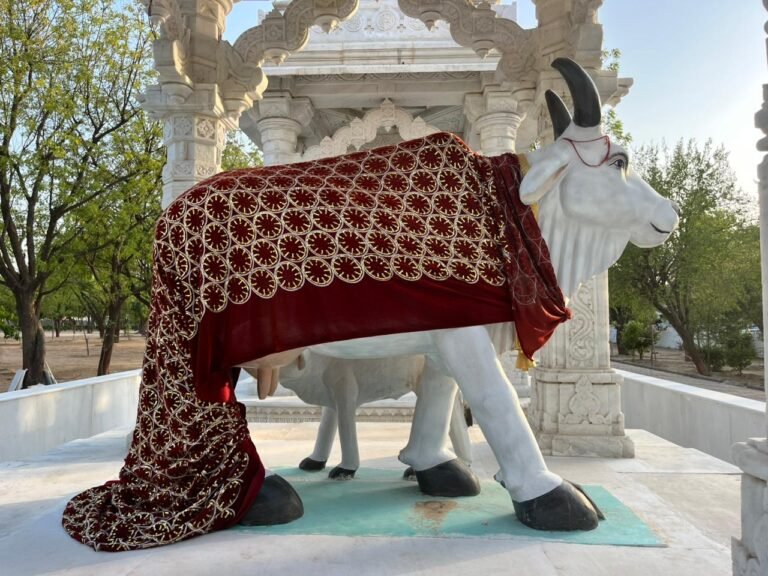 गौ माता समाधी