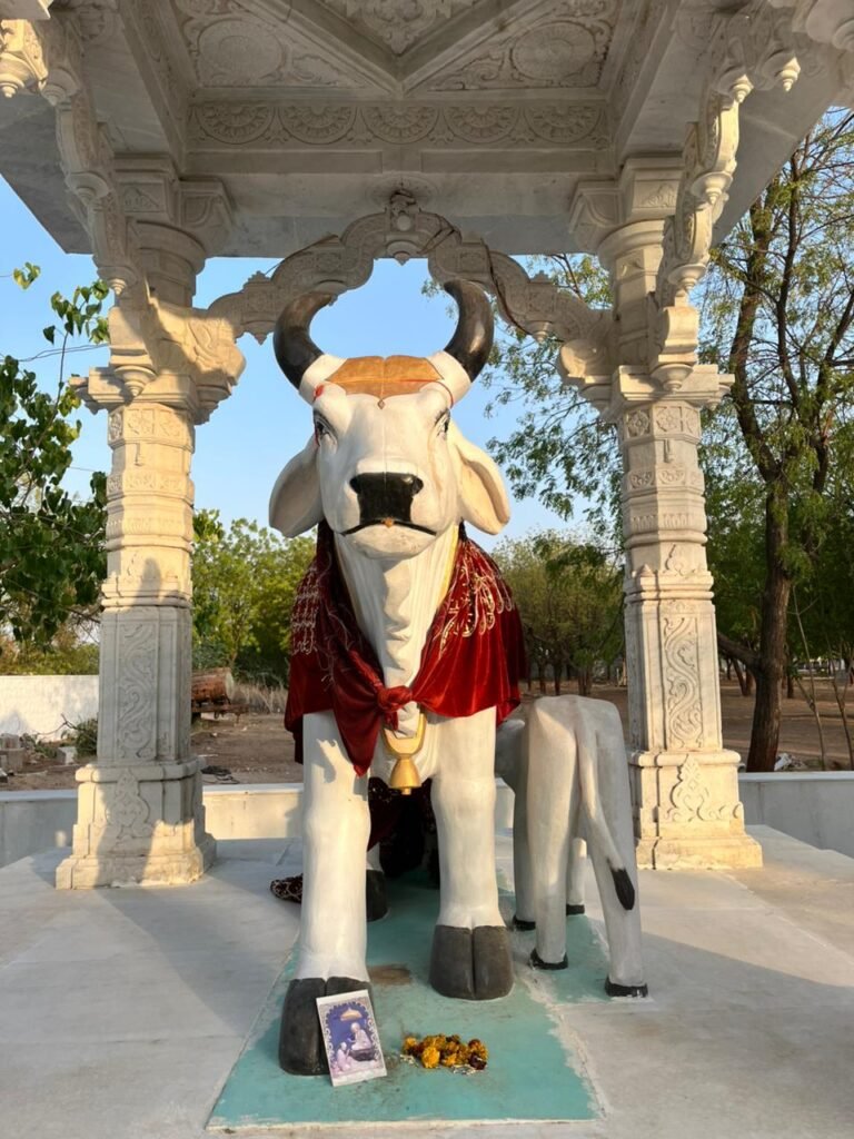 गौ माता समाधी