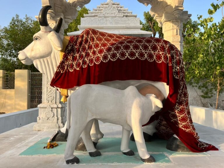 गौ माता समाधी